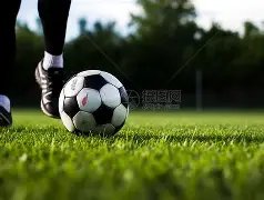 特雷,杨评分突破,跃居联盟第,AG娱乐官网,AG百家乐,AG真人视讯平台,AG电子游戏,AG体育电竞,AG棋牌彩票