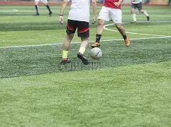 探寻阿布扎,比半岛的霸,主之姿,AG娱乐官网,AG百家乐,AG真人视讯平台,AG电子游戏,AG体育电竞,AG棋牌彩票